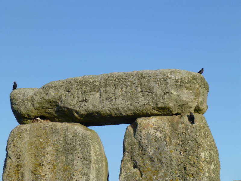 stonehenge_crows.jpg